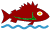Fish Icon